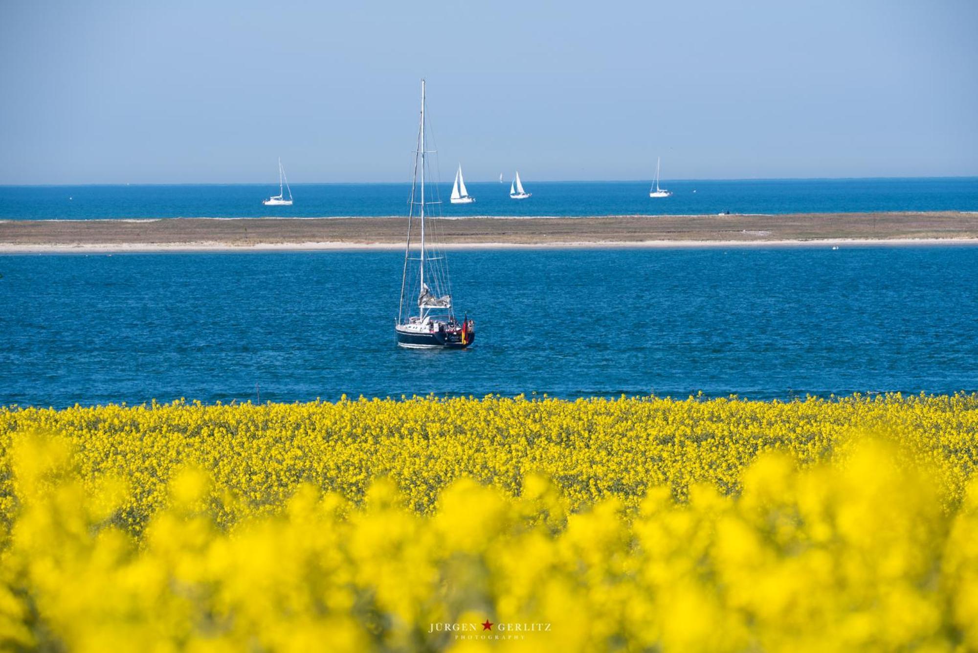 Urlaub Mit Ostseeblick, Schwimmbad, Sauna & Direkte Strandlage Kronsgaard Luaran gambar